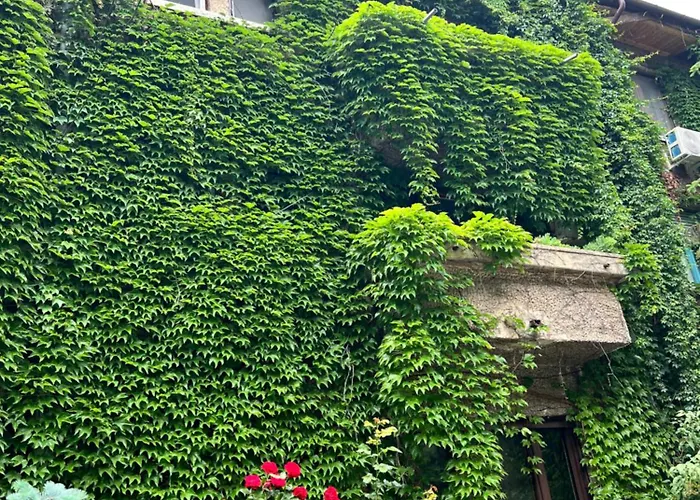 Urban Floreasca Apartment Bucharest